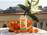 VASE JUS D'ORANGE I Fluid market